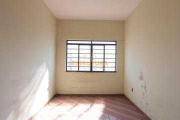 Alugar Comercial / Sala em Rio Claro. apenas R$ 500,00