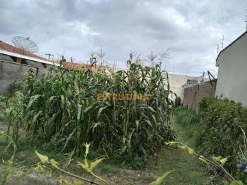 Terreno residencial à venda, 360,00m² - Jardim Floridiana - Rio Claro/SP