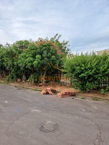 Terreno à venda, 125,00m² - Jardim das Paineiras - Rio Claro/SP