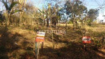 imagem 1 - Terreno residencial para venda e locação, Ajapi, Rio Claro. imagem 1 - Terreno residencial para venda e locação, Ajapi, Rio Claro.