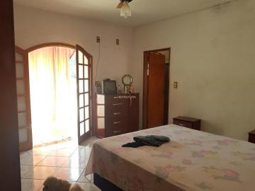 Alugar Residencial / Casa Padrão em Rio Claro. apenas R$ 380.000,00