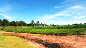imagem 2 - Sítio à venda, 20.000,00 m² - Zona Rural, Rio Claro/SP imagem 2 - Sítio à venda, 20.000,00 m² - Zona Rural, Rio Claro/SP