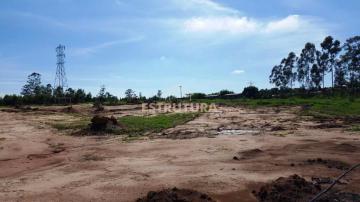 imagem 3 - Sítio à venda, 20.000,00 m² - Zona Rural, Rio Claro/SP imagem 3 - Sítio à venda, 20.000,00 m² - Zona Rural, Rio Claro/SP