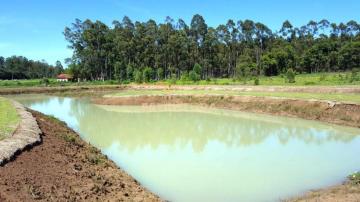 imagem 4 - Sítio à venda, 20.000,00 m² - Zona Rural, Rio Claro/SP imagem 4 - Sítio à venda, 20.000,00 m² - Zona Rural, Rio Claro/SP