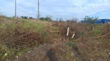 Alugar Terreno / Padrão em Rio Claro. apenas R$ 850.000,00