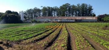 imagem 2 - Terreno - Área imagem 2 - Terreno - Área