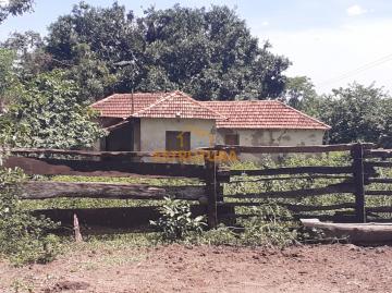 imagem 5 - Fazenda Rural / Zona Rural imagem 5 - Fazenda Rural / Zona Rural