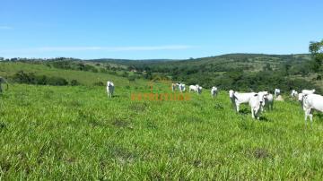 imagem 1 - Fazenda rural com 319ha - Bairro do Campo, Nova Aurora/GO imagem 1 - Fazenda rural com 319ha - Bairro do Campo, Nova Aurora/GO