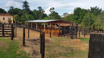 imagem 5 - Fazenda rural com 319ha - Bairro do Campo, Nova Aurora/GO imagem 5 - Fazenda rural com 319ha - Bairro do Campo, Nova Aurora/GO