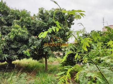imagem 1 - Terreno à venda, 300,00m² - Jardim Mirassol - Rio Claro/SP imagem 1 - Terreno à venda, 300,00m² - Jardim Mirassol - Rio Claro/SP