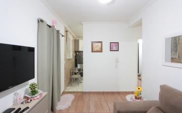 Apartamento à venda e locação Parque Rainha Bianca, 46,00m² - Jardim Anhanguera - Rio Claro/SP