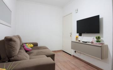 imagem 3 - Apartamento à venda e locação Parque Rainha Bianca, 46,00m² - Jardim Anhanguera - Rio Claro/SP imagem 3 - Apartamento à venda e locação Parque Rainha Bianca, 46,00m² - Jardim Anhanguera - Rio Claro/SP