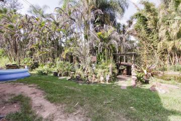 Alugar Rural / Sítio em Rio Claro. apenas R$ 800.000,00