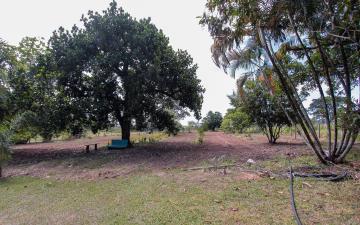 imagem 4 - Chácara em área rural à venda, 32267 m² - Bairro do Cabeça, Rio Claro/SP imagem 4 - Chácara em área rural à venda, 32267 m² - Bairro do Cabeça, Rio Claro/SP