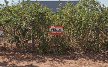 imagem 1 - Terreno residencial à venda, 250 m² - Jardim Das Orquídeas, Ipeúna/SP imagem 1 - Terreno residencial à venda, 250 m² - Jardim Das Orquídeas, Ipeúna/SP