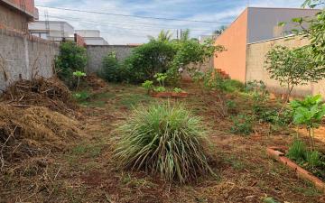 Terreno à venda, 250 m² - Parque Flórida, Rio Claro/SP