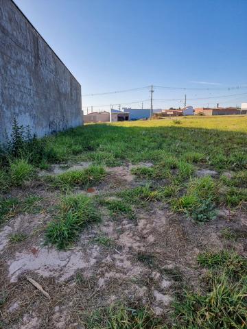 imagem 1 - Terreno à venda, 222,06 m² - Residencial Zilda Scaglia Dorta, Ipeúna/SP imagem 1 - Terreno à venda, 222,06 m² - Residencial Zilda Scaglia Dorta, Ipeúna/SP