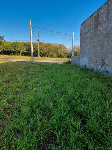imagem 3 - Terreno à venda, 222,06 m² - Residencial Zilda Scaglia Dorta, Ipeúna/SP imagem 3 - Terreno à venda, 222,06 m² - Residencial Zilda Scaglia Dorta, Ipeúna/SP