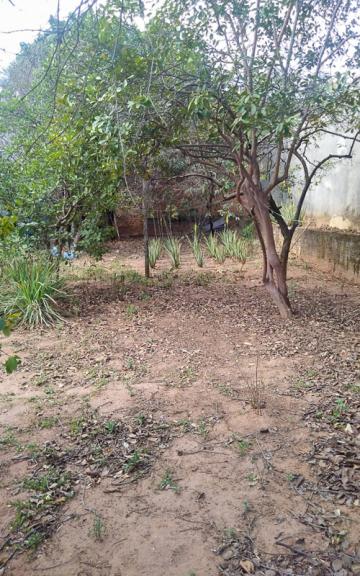 imagem 1 - Terreno à venda, 250 m² - Jardim Residencial das Palmeiras, Rio Claro/SP imagem 1 - Terreno à venda, 250 m² - Jardim Residencial das Palmeiras, Rio Claro/SP