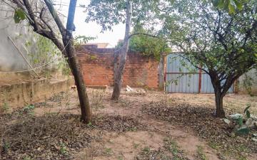 imagem 3 - Terreno à venda, 250 m² - Jardim Residencial das Palmeiras, Rio Claro/SP imagem 3 - Terreno à venda, 250 m² - Jardim Residencial das Palmeiras, Rio Claro/SP