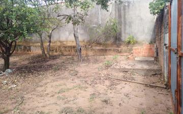 imagem 4 - Terreno à venda, 250 m² - Jardim Residencial das Palmeiras, Rio Claro/SP imagem 4 - Terreno à venda, 250 m² - Jardim Residencial das Palmeiras, Rio Claro/SP