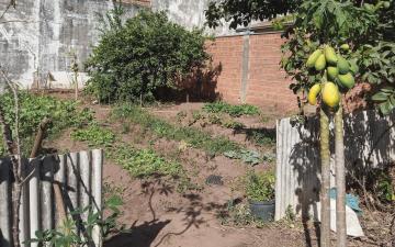 Terreno à venda, 150 m² - Jardim Parque Universitário, Rio Claro/SP