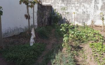 Terreno à venda, 150 m² - Jardim Parque Universitário, Rio Claro/SP