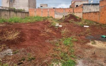 imagem 2 - Terreno com 200 m² - Jardim São Luiz, Rio Claro/SP imagem 2 - Terreno com 200 m² - Jardim São Luiz, Rio Claro/SP
