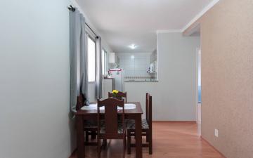 Apartamento no Parque Rainha Elizabeth à venda, 46 m² - Jardim Paulista, Rio Claro/SP
