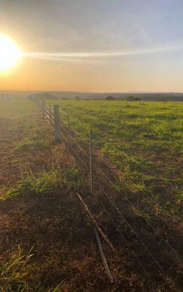 imagem 1 - Fazenda à venda, 216,32 alq. - Zona Rural, Guiratinga/MT imagem 1 - Fazenda à venda, 216,32 alq. - Zona Rural, Guiratinga/MT