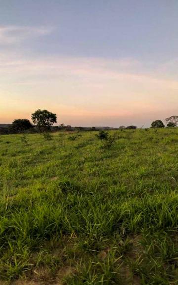 imagem 2 - Fazenda à venda, 216,32 alq. - Zona Rural, Guiratinga/MT imagem 2 - Fazenda à venda, 216,32 alq. - Zona Rural, Guiratinga/MT
