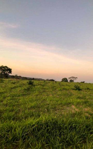 imagem 3 - Fazenda à venda, 216,32 alq. - Zona Rural, Guiratinga/MT imagem 3 - Fazenda à venda, 216,32 alq. - Zona Rural, Guiratinga/MT