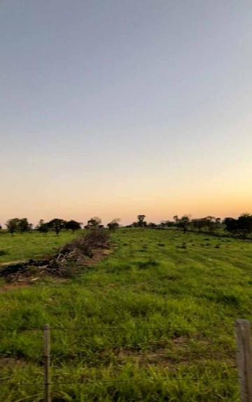 imagem 4 - Fazenda à venda, 216,32 alq. - Zona Rural, Guiratinga/MT imagem 4 - Fazenda à venda, 216,32 alq. - Zona Rural, Guiratinga/MT