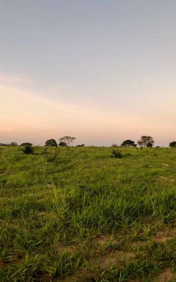 imagem 5 - Fazenda à venda, 216,32 alq. - Zona Rural, Guiratinga/MT imagem 5 - Fazenda à venda, 216,32 alq. - Zona Rural, Guiratinga/MT