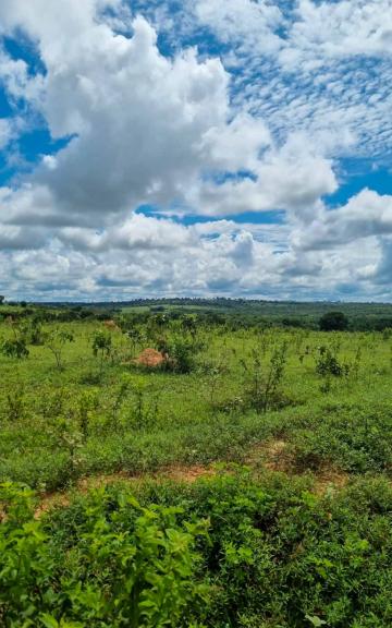 imagem 4 - Fazenda à venda com 283 alq. - Zona Rural, Portelândia/GO imagem 4 - Fazenda à venda com 283 alq. - Zona Rural, Portelândia/GO
