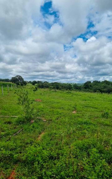 imagem 5 - Fazenda à venda com 283 alq. - Zona Rural, Portelândia/GO imagem 5 - Fazenda à venda com 283 alq. - Zona Rural, Portelândia/GO