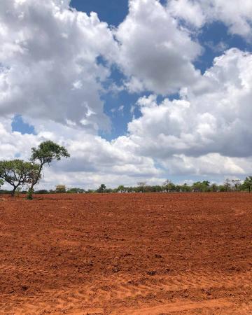 imagem 1 - Fazendo à venda, 76,81 heq. - Zona Rural, Prata/MG imagem 1 - Fazendo à venda, 76,81 heq. - Zona Rural, Prata/MG
