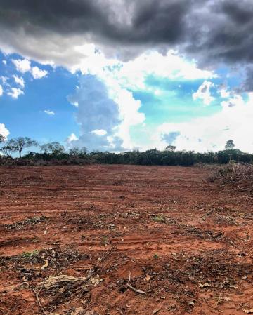 imagem 2 - Fazendo à venda, 76,81 heq. - Zona Rural, Prata/MG imagem 2 - Fazendo à venda, 76,81 heq. - Zona Rural, Prata/MG