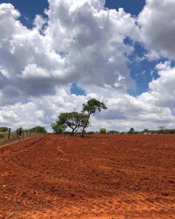 imagem 3 - Fazendo à venda, 76,81 heq. - Zona Rural, Prata/MG imagem 3 - Fazendo à venda, 76,81 heq. - Zona Rural, Prata/MG