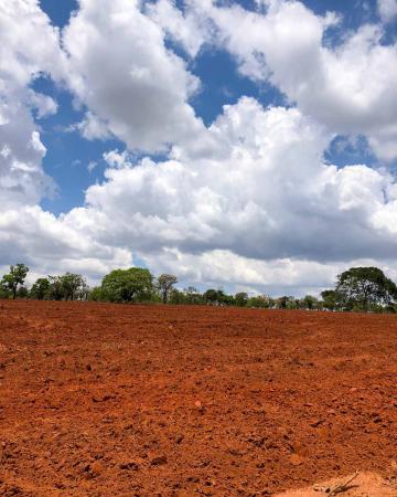 imagem 4 - Fazendo à venda, 76,81 heq. - Zona Rural, Prata/MG imagem 4 - Fazendo à venda, 76,81 heq. - Zona Rural, Prata/MG