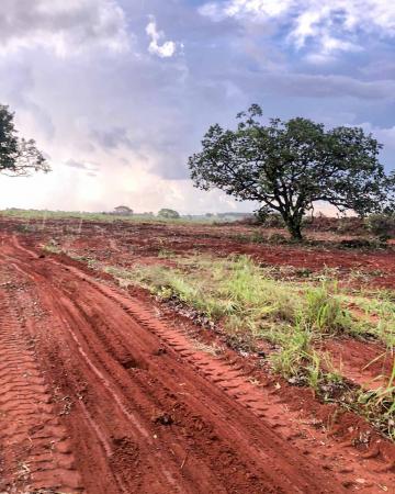 imagem 5 - Fazendo à venda, 76,81 heq. - Zona Rural, Prata/MG imagem 5 - Fazendo à venda, 76,81 heq. - Zona Rural, Prata/MG