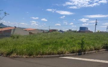imagem 2 - Terreno à venda, 250 m² - Jardim das Palmeiras, Rio Claro/SP imagem 2 - Terreno à venda, 250 m² - Jardim das Palmeiras, Rio Claro/SP