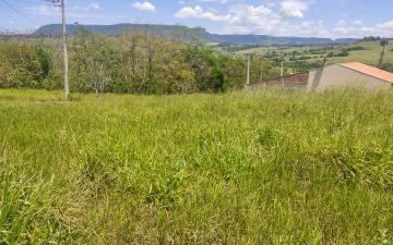 imagem 4 - Terreno à venda, 250 m² - Jardim das Palmeiras, Rio Claro/SP imagem 4 - Terreno à venda, 250 m² - Jardim das Palmeiras, Rio Claro/SP