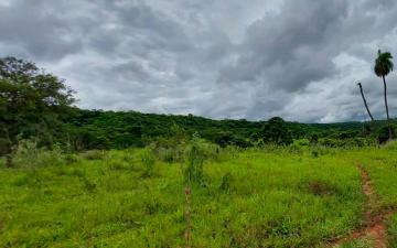 Fazenda à venda, 97 alq. - Zona Rural, Campina Verde/MG