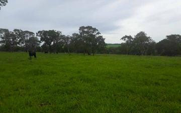 Fazenda à venda, 97 alq. - Zona Rural, Campina Verde/MG