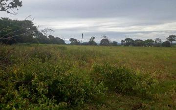 imagem 5 - Fazenda à venda, 97 alq. - Zona Rural, Campina Verde/MG imagem 5 - Fazenda à venda, 97 alq. - Zona Rural, Campina Verde/MG