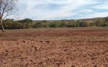 Fazenda à venda com 125,50 alq. Zona Rural, Campina Verde/MG