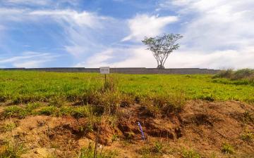 Terreno à venda no Condomínio Jardim Residencial Jatobá, 500 m² - Jardim Jatobá, Rio Claro/SP