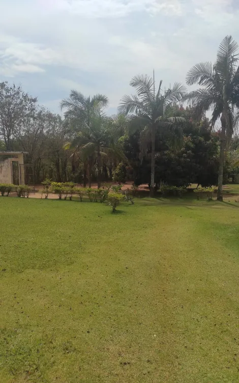 imagem 3 - Chácara, 20.000 m²  - Ajapi, Rio Claro/SP imagem 3 - Chácara, 20.000 m²  - Ajapi, Rio Claro/SP