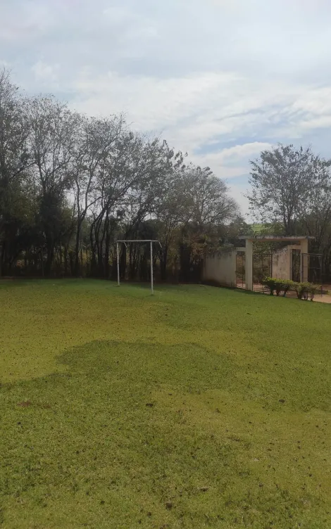 imagem 2 - Chácara, 20.000 m²  - Ajapi, Rio Claro/SP imagem 2 - Chácara, 20.000 m²  - Ajapi, Rio Claro/SP
